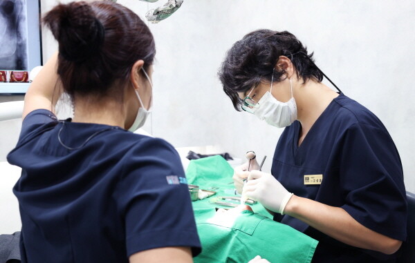 앞니 임플란트, 자연스러운 결과 위한 맞춤 지대주 중요